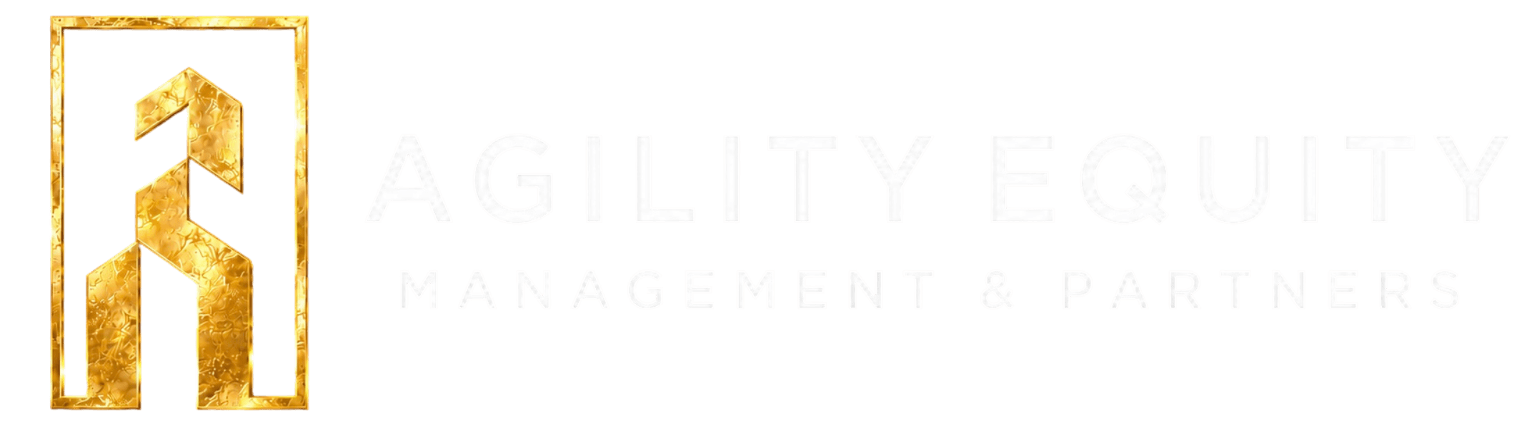Agility Equity Management & Partners